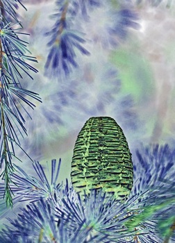 T 123A